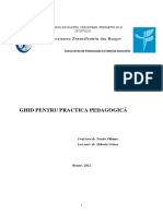 221842825-Ghid-Practica.pdf