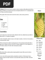 Biribazeiro – Wikipédia, a enciclopédia livre.pdf