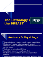 The Pathology of Breast 14