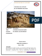 Informe de Geoquimica SALIDA de CAMPO