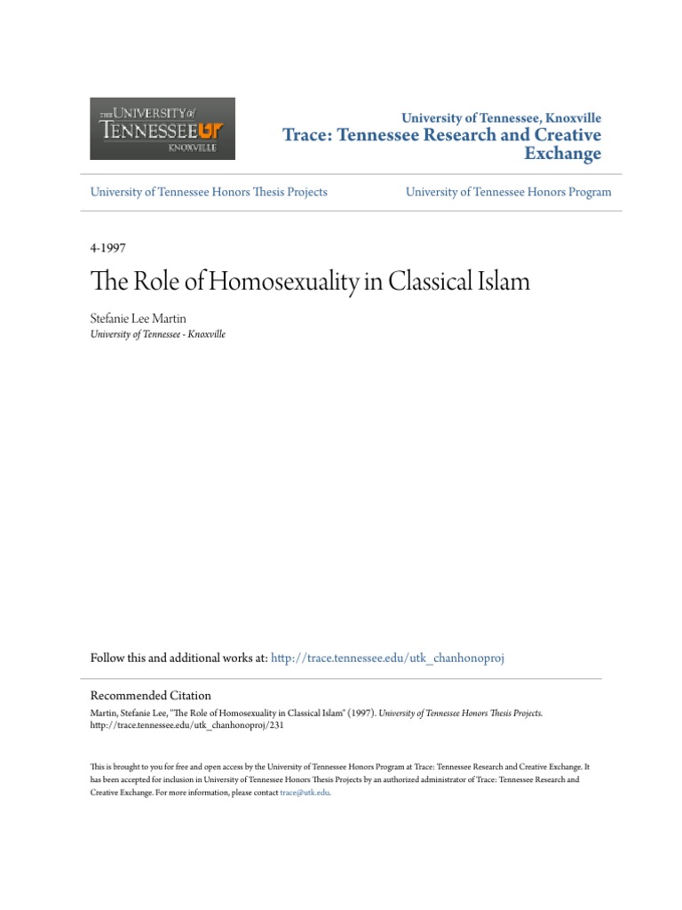 Homosexuality in Classical Islam | PDF | Quran | Islam