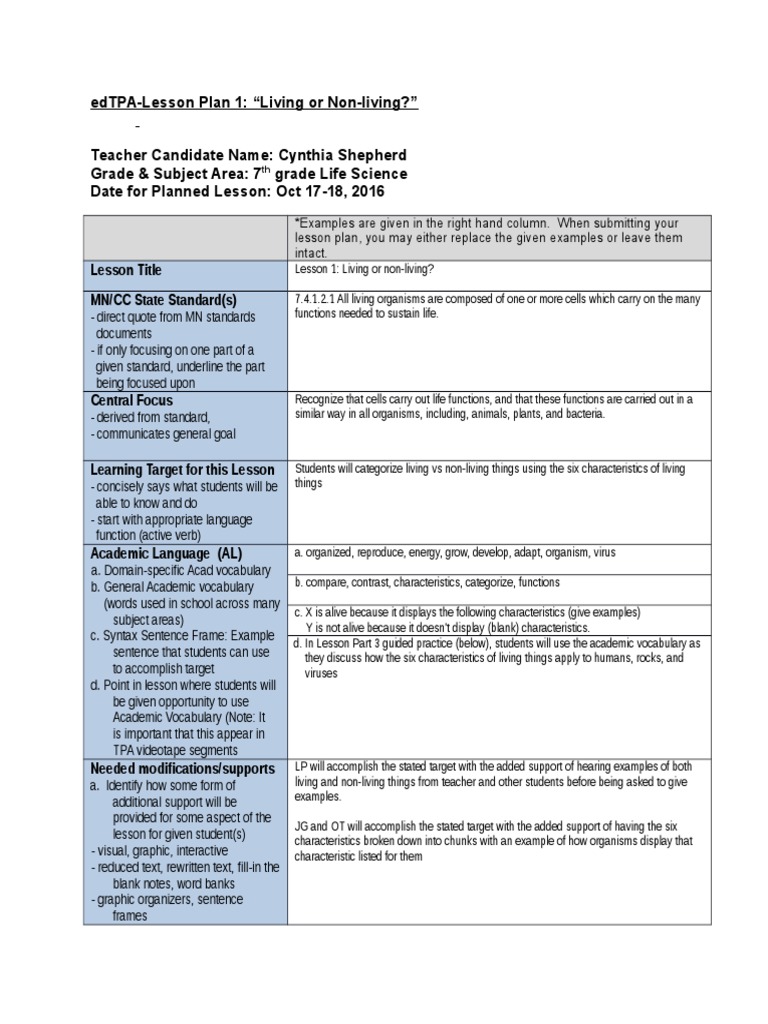 Edtpa Lesson Plan Template 2020 imgwut