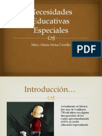 Necesidades Educativas Especiales