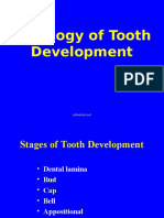 Histology of Tooth Development