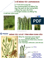 About Asparagus Officinalis - Presentation