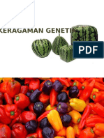 Keragaman Genetik 1