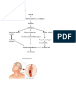 Pathway Stroke