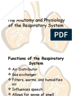 respiratorysystem (16)
