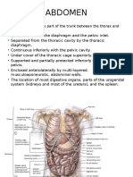 Abdomen