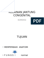 Kelainan Jantung Congenital