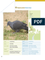 31 Pdfsam Guia de Aves Mataatlantica Wwfbrasil PDF