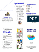 leaflet-diit-dm.doc