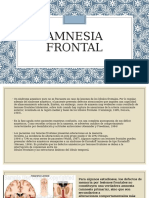 Amnesia Frontal