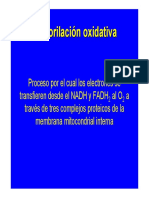 Fosforilacion Oxidativa PDF