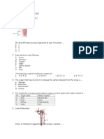 TEST SYSTEM EXCRETION