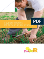 Investimentos de Pequena DimensÃ o PDF