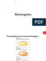 Lezione 2_Bioenergetica