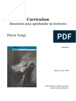 Terigi_curriculo educativo.pdf