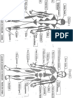 Locais de Emoção No Musculo