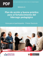 GUIA PLAN DE ACCION Y BUENA PRACTICA - 1er PDF