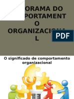 Cap. 1 - Panorama Do Comportamento Organizacional