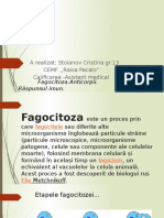 Fagocitoza