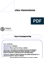 Aspectos visomotores (1).pdf