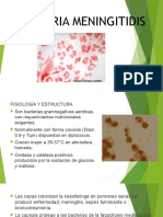 NEISSERIA MENINGITIDIS.pptx