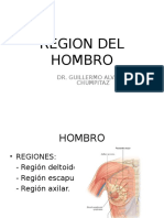 Región Del Hombro