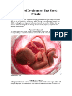 Periods of Development Fact Sheet - Prenatal