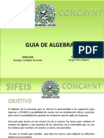 guia de algebra.pdf