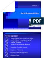 Audit Responsibilities