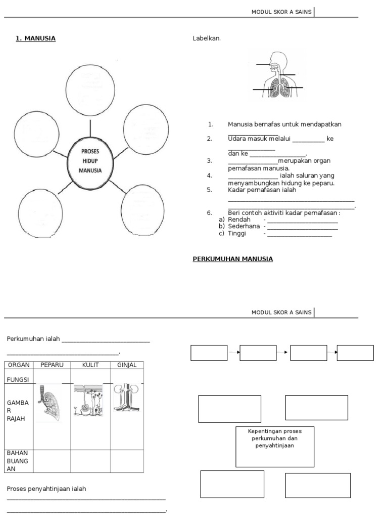 Kadar Pernafasan Manusia Sains Tahun 4