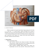 Anatomi dan Histologi Pankreas