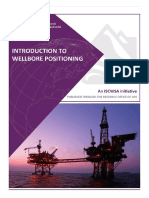 Introduction To Wellbore Positioning - V01.7.12 PDF