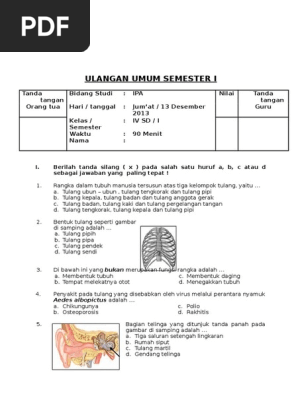 12++ Hewan berikut ini yang mengalami metamorfosis sempurna adalah a capung b katak c belalang d tikus update 