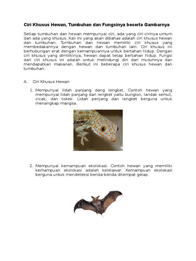 8800 Koleksi Gambar Hewan Yang Mempunyai Ciri Khusus Gratis Terbaru