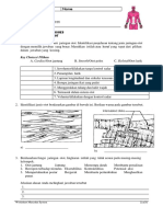 Worksheet Muscular System - Students PDF