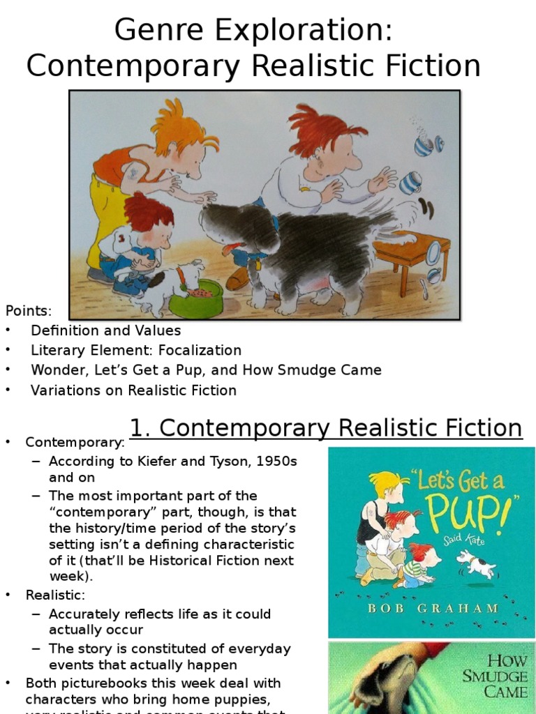 What is realistic fiction picture