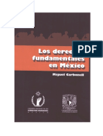 Carbonell%2c Miguel -Los Derechos Fundamentales en Mexico