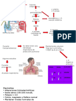 + Presión Hidrostática (-) + Concentración Catecolaminergica Suturas Inflamatorias + Permeabilidad Capilar Pulmonar Edema Pulmonar Agudo