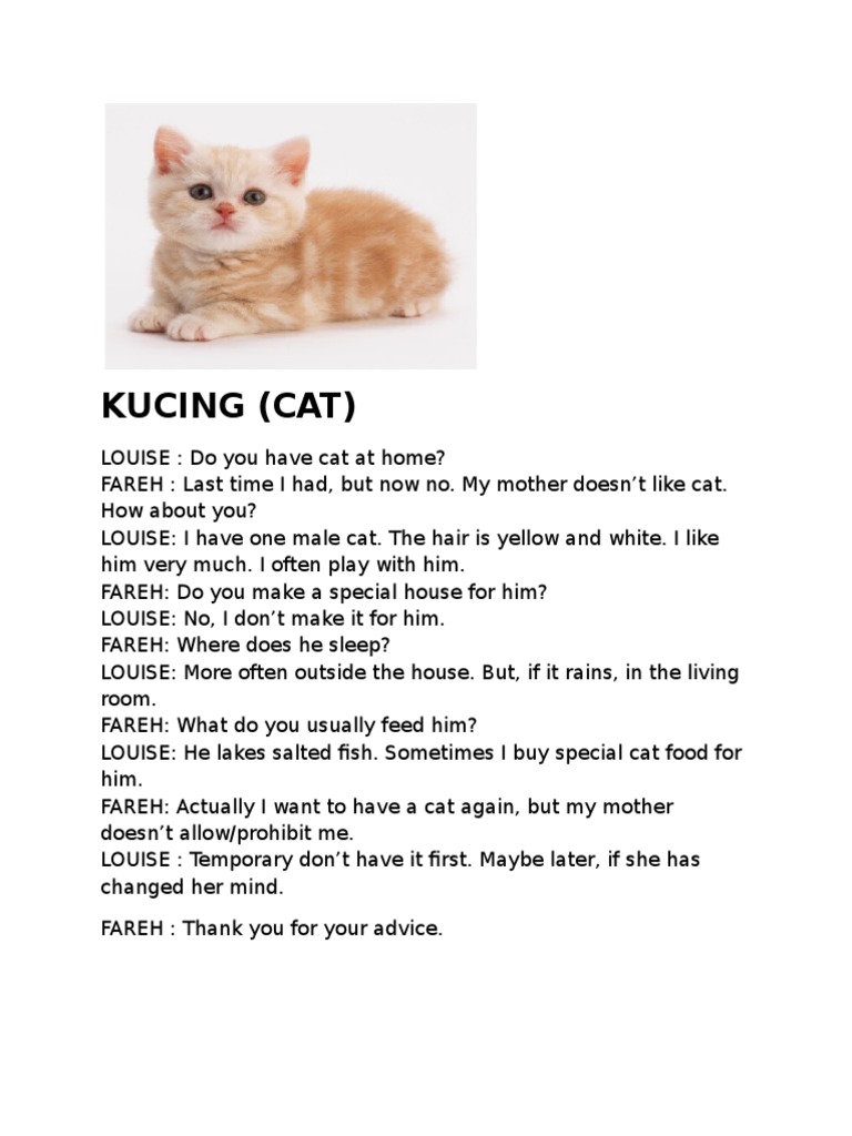 KUCING | PDF | Language Arts & Discipline | Poetry