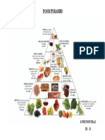 Food Pyramid: S.Prithiviraj Iii - D