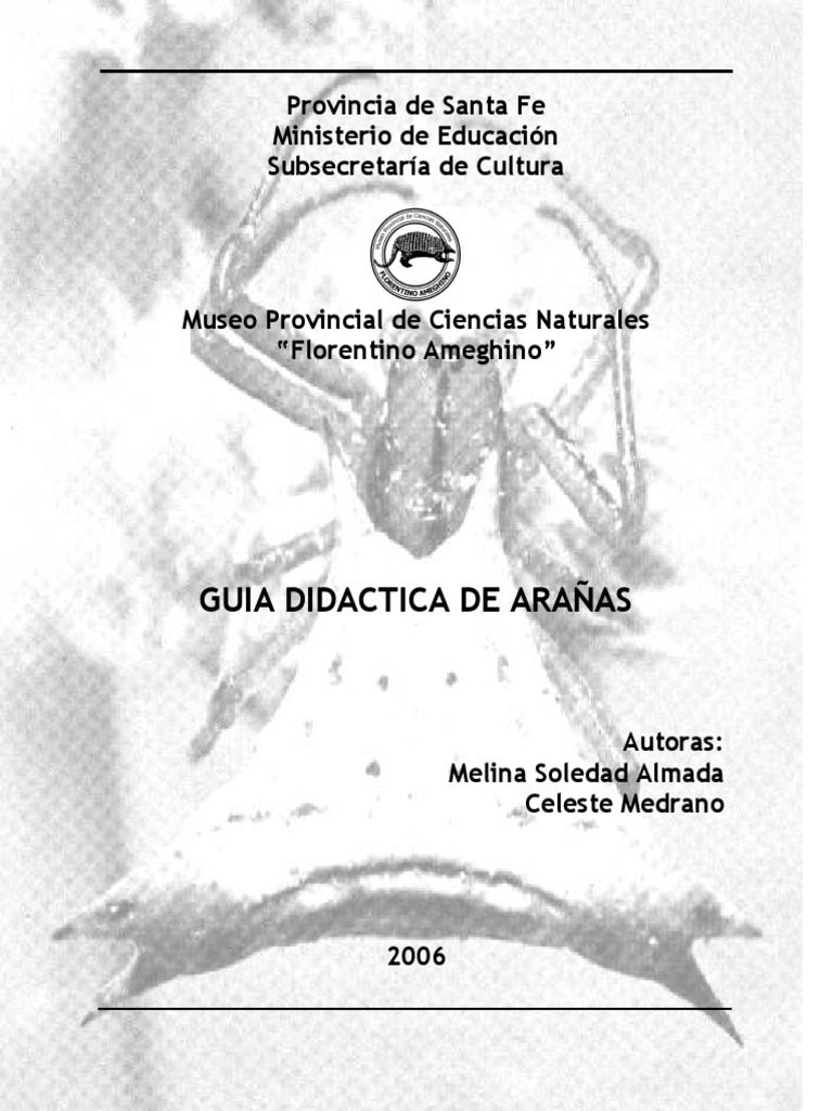 Resultado de imagen para Guia didactica de arañas argentina