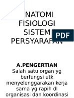 Anfis Sistem Persarafan