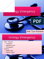 Kegawatdaruratan urologi.pptx