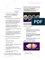 Neuroscience II: Cerebellum