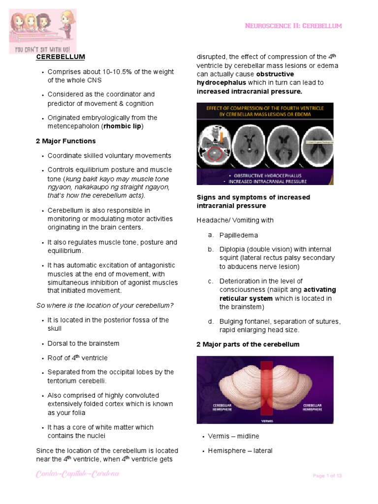 Neuroscience II: Cerebellum | PDF | Cerebellum | Central Nervous System
