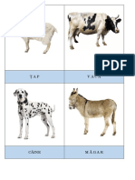 Imagini Cu Animale PDF