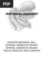 Maternal Anatomy